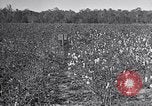 Standbild Owens United States USA, 1921, aus Sekunde 33 historischem Filmmaterial Videoclip 65675028393