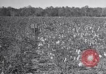 Standbild Owens United States USA, 1921, aus Sekunde 36 historischem Filmmaterial Videoclip 65675028393