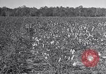 Standbild Owens United States USA, 1921, aus Sekunde 37 historischem Filmmaterial Videoclip 65675028393