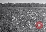 Standbild Owens United States USA, 1921, aus Sekunde 38 historischem Filmmaterial Videoclip 65675028393