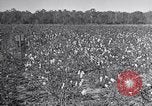 Standbild Owens United States USA, 1921, aus Sekunde 40 historischem Filmmaterial Videoclip 65675028393