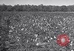 Standbild Owens United States USA, 1921, aus Sekunde 41 historischem Filmmaterial Videoclip 65675028393