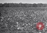 Standbild Owens United States USA, 1921, aus Sekunde 44 historischem Filmmaterial Videoclip 65675028393