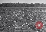 Standbild Owens United States USA, 1921, aus Sekunde 45 historischem Filmmaterial Videoclip 65675028393