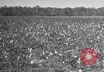 Standbild Owens United States USA, 1921, aus Sekunde 46 historischem Filmmaterial Videoclip 65675028393