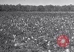 Standbild Owens United States USA, 1921, aus Sekunde 48 historischem Filmmaterial Videoclip 65675028393