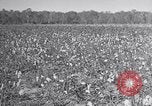 Standbild Owens United States USA, 1921, aus Sekunde 50 historischem Filmmaterial Videoclip 65675028393