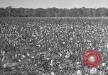 Standbild Owens United States USA, 1921, aus Sekunde 52 historischem Filmmaterial Videoclip 65675028393