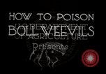 Image of poisoning Boll Weevils United States USA, 1921, second 9 stock footage video 65675028395