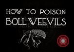 Image of poisoning Boll Weevils United States USA, 1921, second 10 stock footage video 65675028395