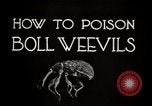 Image of poisoning Boll Weevils United States USA, 1921, second 11 stock footage video 65675028395