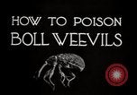 Image of poisoning Boll Weevils United States USA, 1921, second 12 stock footage video 65675028395
