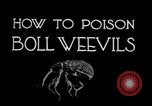 Image of poisoning Boll Weevils United States USA, 1921, second 13 stock footage video 65675028395