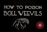 Image of poisoning Boll Weevils United States USA, 1921, second 15 stock footage video 65675028395