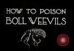 Image of poisoning Boll Weevils United States USA, 1921, second 17 stock footage video 65675028395