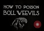 Image of poisoning Boll Weevils United States USA, 1921, second 18 stock footage video 65675028395