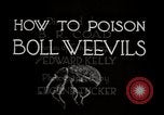 Image of poisoning Boll Weevils United States USA, 1921, second 19 stock footage video 65675028395
