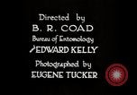 Image of poisoning Boll Weevils United States USA, 1921, second 31 stock footage video 65675028395
