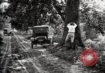 Image of poisoning Boll Weevils United States USA, 1921, second 41 stock footage video 65675028395
