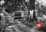 Image of poisoning Boll Weevils United States USA, 1921, second 42 stock footage video 65675028395