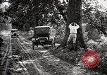 Image of poisoning Boll Weevils United States USA, 1921, second 43 stock footage video 65675028395