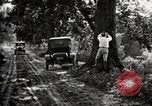 Image of poisoning Boll Weevils United States USA, 1921, second 44 stock footage video 65675028395