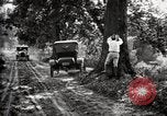 Image of poisoning Boll Weevils United States USA, 1921, second 45 stock footage video 65675028395