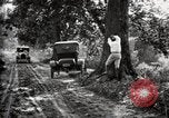 Image of poisoning Boll Weevils United States USA, 1921, second 46 stock footage video 65675028395
