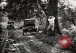 Image of poisoning Boll Weevils United States USA, 1921, second 47 stock footage video 65675028395