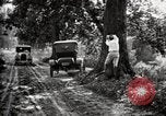 Image of poisoning Boll Weevils United States USA, 1921, second 48 stock footage video 65675028395