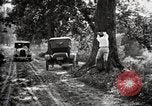 Image of poisoning Boll Weevils United States USA, 1921, second 49 stock footage video 65675028395
