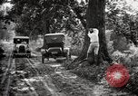 Image of poisoning Boll Weevils United States USA, 1921, second 50 stock footage video 65675028395