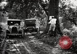 Image of poisoning Boll Weevils United States USA, 1921, second 53 stock footage video 65675028395