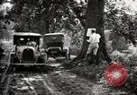 Image of poisoning Boll Weevils United States USA, 1921, second 54 stock footage video 65675028395