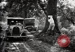 Image of poisoning Boll Weevils United States USA, 1921, second 57 stock footage video 65675028395