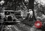 Image of poisoning Boll Weevils United States USA, 1921, second 58 stock footage video 65675028395