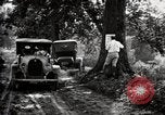 Image of poisoning Boll Weevils United States USA, 1921, second 59 stock footage video 65675028395