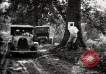 Image of poisoning Boll Weevils United States USA, 1921, second 60 stock footage video 65675028395