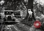 Image of poisoning Boll Weevils United States USA, 1921, second 61 stock footage video 65675028395