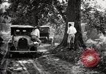 Image of poisoning Boll Weevils United States USA, 1921, second 62 stock footage video 65675028395