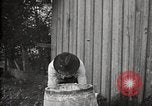 Image of calcium arsenate United States USA, 1921, second 11 stock footage video 65675028396