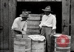 Image of calcium arsenate United States USA, 1921, second 45 stock footage video 65675028396