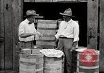 Image of calcium arsenate United States USA, 1921, second 46 stock footage video 65675028396