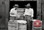 Image of calcium arsenate United States USA, 1921, second 47 stock footage video 65675028396