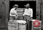 Image of calcium arsenate United States USA, 1921, second 48 stock footage video 65675028396