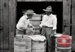 Image of calcium arsenate United States USA, 1921, second 49 stock footage video 65675028396