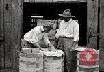 Image of calcium arsenate United States USA, 1921, second 50 stock footage video 65675028396