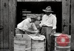 Image of calcium arsenate United States USA, 1921, second 51 stock footage video 65675028396
