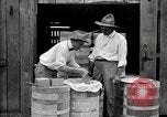 Image of calcium arsenate United States USA, 1921, second 52 stock footage video 65675028396