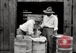 Image of calcium arsenate United States USA, 1921, second 53 stock footage video 65675028396